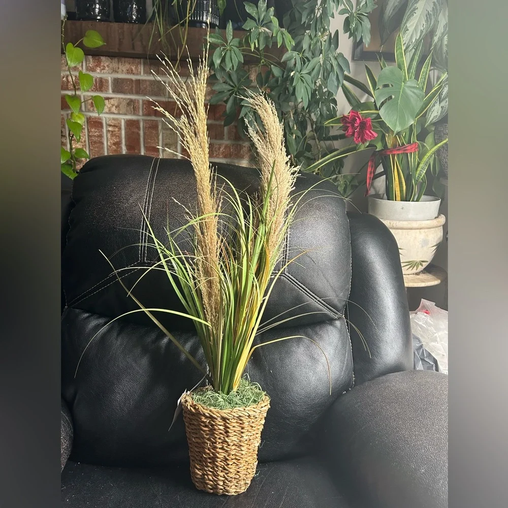 Natural Grass Dry Arrangement in Woven Basket
